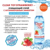 Очищающий спрей для игрушек CLEAR TOY Strawberry - 100 мл. - Биоритм - купить с доставкой в Йошкар-Оле