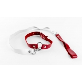 Бело-красный чокер из натуральной кожи с поводком - БДСМ Арсенал - купить с доставкой в Йошкар-Оле