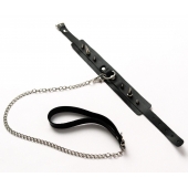 Черный ошейник с шипами и поводком - Crazy Handmade - купить с доставкой в Йошкар-Оле