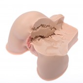 Мастурбатор-полуторс Naked Factory Kate - Naked Factory - в Йошкар-Оле купить с доставкой