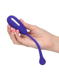 Фиолетовый шарик с электростимуляцией и вибрацией Intimate E-Stimulator Remote Kegel Exerciser - California Exotic Novelties - купить с доставкой в Йошкар-Оле