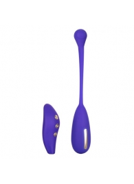 Фиолетовый шарик с электростимуляцией и вибрацией Intimate E-Stimulator Remote Kegel Exerciser - California Exotic Novelties - купить с доставкой в Йошкар-Оле