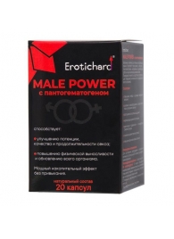 Капсулы для мужчин Erotichard male power с пантогематогеном - 20 капсул (0,370 гр.) - Erotic Hard - купить с доставкой в Йошкар-Оле