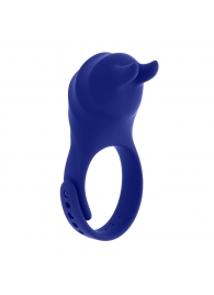 Синее эрекционное виброкольцо с клиторальной подушечкой и пультом ДУ Adjustable Fun Ring - Zero Tolerance - в Йошкар-Оле купить с доставкой