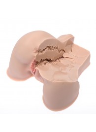 Мастурбатор-полуторс Naked Factory Kate - Naked Factory - в Йошкар-Оле купить с доставкой