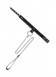 Черный узкий однослойный ошейник с серебристым поводком-цепочкой - Pecado - купить с доставкой в Йошкар-Оле