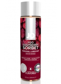 Лубрикант на водной основе с ароматом малины JO Flavored Raspberry Sorbet - 120 мл. - System JO - купить с доставкой в Йошкар-Оле