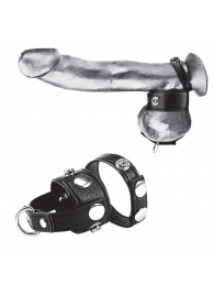 Утяжка для мошонки и пениса Cock Ring With 1  Ball Stretcher And Optional Weight Ring - BlueLine - купить с доставкой в Йошкар-Оле