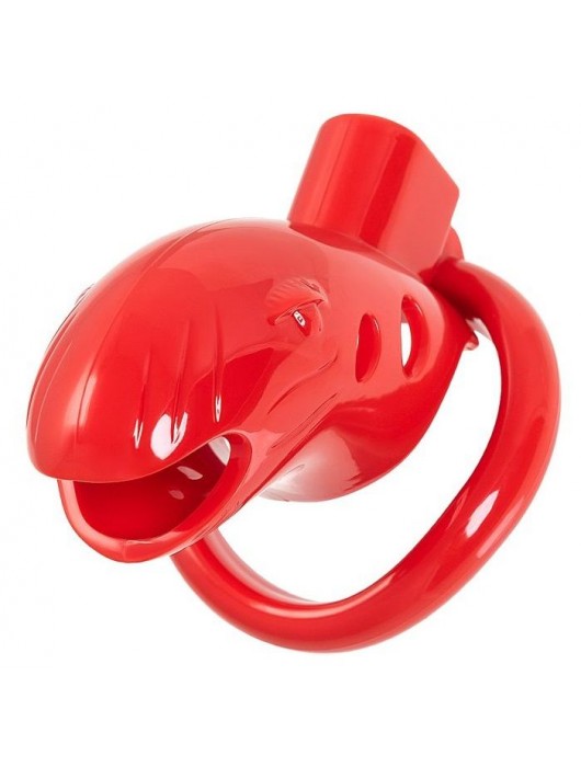 Красный мужской пояс верности из пластика - ToyFa - купить с доставкой в Йошкар-Оле