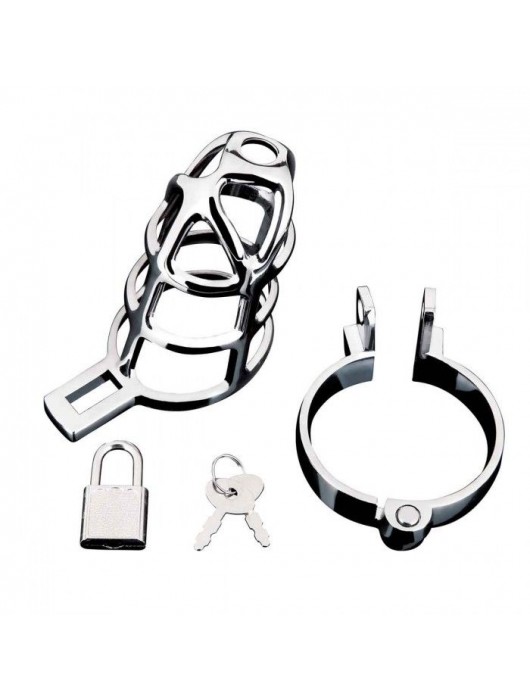 Серебристая металлическая клетка для члена с замком Enslave Cock Cage - BlueLine - купить с доставкой в Йошкар-Оле
