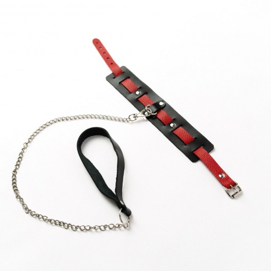 Черный ошейник с красным ремешком и поводком - Crazy Handmade - купить с доставкой в Йошкар-Оле