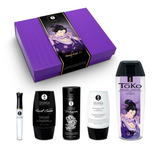 Подарочный набор Naughter Kit - Shunga - купить с доставкой в Йошкар-Оле