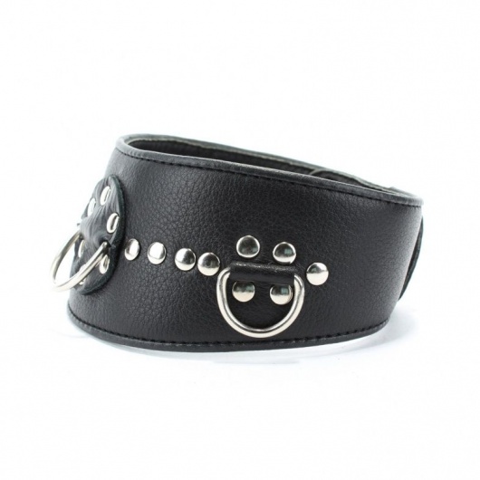 Чёрный кожаный ошейник с полукольцами и клёпками - БДСМ Арсенал - купить с доставкой в Йошкар-Оле