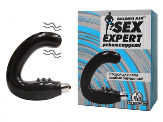 Чёрный массажёр простаты серии Sex Expert - Sex Expert - в Йошкар-Оле купить с доставкой