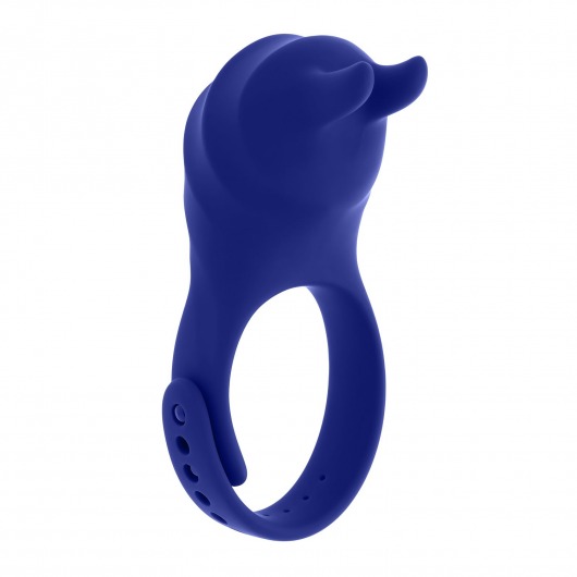 Синее эрекционное виброкольцо с клиторальной подушечкой и пультом ДУ Adjustable Fun Ring - Zero Tolerance - в Йошкар-Оле купить с доставкой