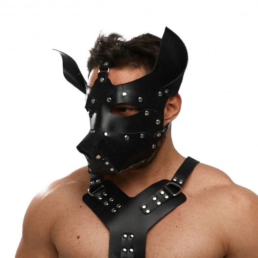 Черная кожаная маска «Собака» - Crazy Handmade - купить с доставкой в Йошкар-Оле