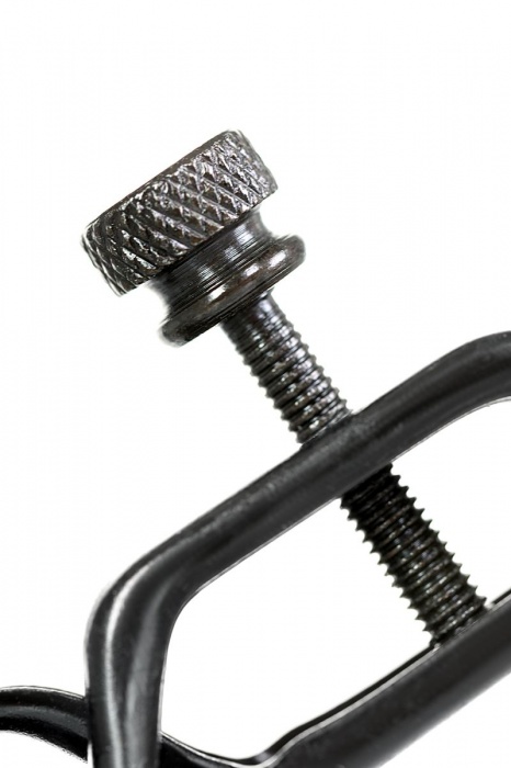 Черно-золотистые зажимы для сосков TOYFA Theatre - ToyFa - купить с доставкой в Йошкар-Оле